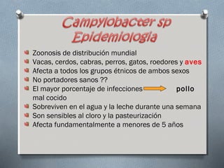 Zoonosis de distribución mundial 
Vacas, cerdos, cabras, perros, gatos, roedores y aves 
Afecta a todos los grupos étnicos de ambos sexos 
No portadores sanos ?? 
El mayor porcentaje de infecciones pollo 
mal cocido 
Sobreviven en el agua y la leche durante una semana 
Son sensibles al cloro y la pasteurización 
Afecta fundamentalmente a menores de 5 años 
 