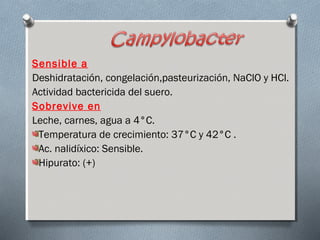 Sensible a 
Deshidratación, congelación,pasteurización, NaClO y HCl. 
Actividad bactericida del suero. 
Sobrevive en 
Leche, carnes, agua a 4°C. 
Temperatura de crecimiento: 37°C y 42°C . 
Ac. nalidíxico: Sensible. 
Hipurato: (+) 
 