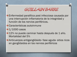 Enfermedad paralítica post infecciosa causada por 
una interrupción inflamatoria de la integridad y 
función de los nervios periféricos. 
Características autoinmune 
1/1000 casos 
12% no puede caminar hasta después de 1 año. 
Mortalidad del 5% 
Anticuerpos antigangliósido- fase aguda- sitios ricos 
en gangliósidos en los nervios periféricos 
 
