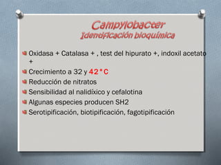 Oxidasa + Catalasa + , test del hipurato +, indoxil acetato 
+ 
Crecimiento a 32 y 42°C 
Reducción de nitratos 
Sensibilidad al nalidíxico y cefalotina 
Algunas especies producen SH2 
Serotipificación, biotipificación, fagotipificación 
 