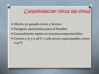 Aborto en ganado ovino y bovino 
Patógeno oportunista para el hombre 
Generalmente sepsis en inmunocomprometidos 
Crecen a 37 y a 26°C y solo pocas cepas pueden crecer 
a 42°C 
 