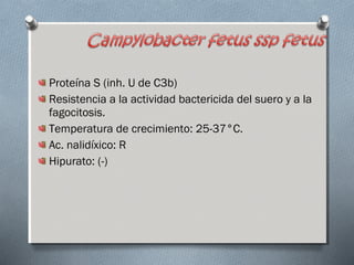 Proteína S (inh. U de C3b) 
Resistencia a la actividad bactericida del suero y a la 
fagocitosis. 
Temperatura de crecimiento: 25-37°C. 
Ac. nalidíxico: R 
Hipurato: (-) 
 