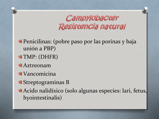 Penicilinas: (pobre paso por las porinas y baja 
unión a PBP) 
TMP: (DHFR) 
Aztreonam 
Vancomicina 
Streptograminas B 
Acido nalidíxico (solo algunas especies: lari, fetus, 
hyointestinalis) 
 
