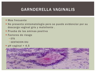  Mas frecuente
 No presenta sintomatología pero se puede evidenciar por su
descarga vaginal gris y maloliente .
 Prueba de las aminas positiva
 Factores de riesgo
 ETS
 GESTACION DIU
 pH vaginal > 4.5
 Microscopia células clue ( clave ) 20%
GARNDERELLA VAGINALIS
 