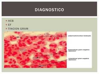  HCB
 EF
 TINCION GRAM
DIAGNOSTICO
 
