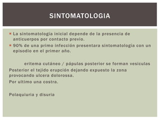  La sintomatología inicial depende de la presencia de
anticuerpos por contacto previo.
 90% de una primo infección presentara sintomatología con un
episodio en el primer año.
eritema cutáneo / pápulas posterior se forman vesiculas
Posterior el tejido erupción dejando expuesto la zona
provocando ulcera dolorossa.
Por ultimo una costra.
Polaquiuria y disuria
SINTOMATOLOGIA
 