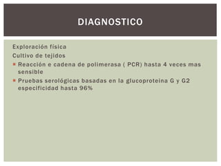 Exploración física
Cultivo de tejidos
 Reacción e cadena de polimerasa ( PCR) hasta 4 veces mas
sensible
 Pruebas serológicas basadas en la glucoproteina G y G2
especificidad hasta 96%
DIAGNOSTICO
 