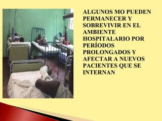 ALGUNOS MO PUEDEN PERMANECER Y SOBREVIVIR EN EL AMBIENTE HOSPITALARIO POR PERÍODOS PROLONGADOS Y AFECTAR A NUEVOS PACIENTES QUE SE INTERNAN 