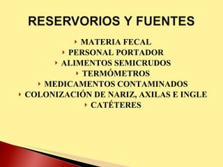 MATERIA FECAL PERSONAL PORTADOR ALIMENTOS SEMICRUDOS TERMÓMETROS MEDICAMENTOS CONTAMINADOS COLONIZACIÓN DE NARIZ, AXILAS E INGLE CATÉTERES 