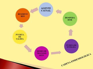 CADENA EPIDEMIOLÓGICA 