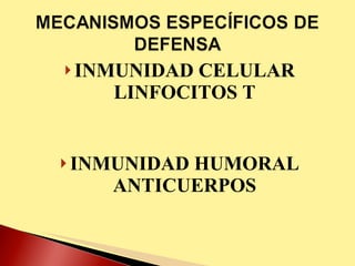 INMUNIDAD CELULAR LINFOCITOS T INMUNIDAD HUMORAL ANTICUERPOS 