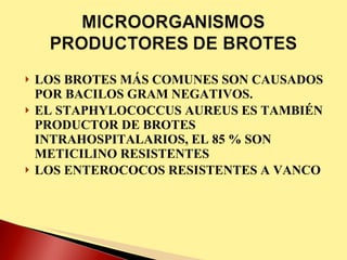 LOS BROTES MÁS COMUNES SON CAUSADOS POR BACILOS GRAM NEGATIVOS. EL STAPHYLOCOCCUS AUREUS ES TAMBIÉN PRODUCTOR DE BROTES INTRAHOSPITALARIOS, EL 85 % SON METICILINO RESISTENTES LOS ENTEROCOCOS RESISTENTES A VANCO 