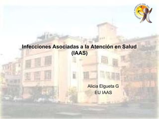 Infecciones Asociadas a la Atención en Salud
(IAAS)
Alicia Elgueta G
EU IAAS
 
