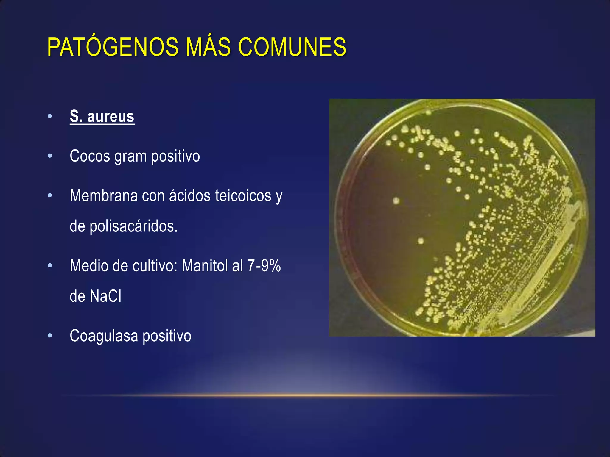 Infecciones Nosocomiales Ppt