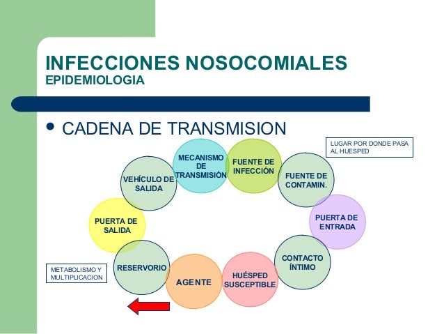 cadena epidemiologica paperas infecciones nosocomiales cadena epidemiologica paperas infecciones nosocomiales