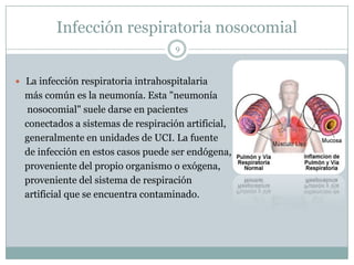 Infección respiratoria nosocomial
9
 La infección respiratoria intrahospitalaria
más común es la neumonía. Esta "neumonía
nosocomial" suele darse en pacientes
conectados a sistemas de respiración artificial,
generalmente en unidades de UCI. La fuente
de infección en estos casos puede ser endógena,
proveniente del propio organismo o exógena,
proveniente del sistema de respiración
artificial que se encuentra contaminado.
 