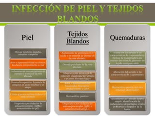 Piel
Drenaje purulento, pústulas,
vesículas o ampollas
dolor o hipersensibilidad localizados,
hinchazón, enrojecimiento o calor
Aislamiento de microorganismos en
aspirado o drenaje de la zona
afectada.
Hemocultivo positivo. Presencia de
antígenos en tejido infectado o en
sangre.
Células gigantes multinucleadas en el
tejido afectado.
Diagnóstico por titulación de
anticuerpos simples (IgM) o
seroconversión de IgG).
Tejidos
Blandos
Aislamiento de gérmenes en el
tejido o en material de drenaje de
la zona afectada.
Drenaje purulento de la zona
afectada.
Absceso u otra evidencia de
infección visualizado por cirugía
o examen histopatológico
dolor o hipersensibilidad
localizados, hinchazón,
enrojecimiento o calor
Hemocultivo positivo.
Diagnóstico por titulación de
anticuerpos simples (IgM) o
seroconversión de IgG).
Quemaduras
Alteración del aspecto o las
características de la quemadura y
biopsia de la quemadura que
muestre invasión de gérmenes en
tejido contiguo viable
Alteración del aspecto o las
características de la quemadura
Hemocultivo positivo sin otra
infección identificable.
Aislamiento de virus del herpes
simple, identificación de
inclusiones o de partículas virales
en biopsias o raspados de la
lesión.
 