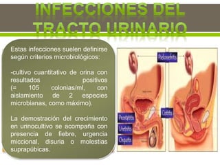 -Es la infección nosocomial más
frecuente.
-El 80% de las infecciones son
ocasionadas por el uso de una
sonda vesical permanente.
-Las infecciones urinarias causan
menos mortalidad que otras
infecciones nosocomiales pero, a
veces, pueden ocasionar
bacteriemia y la muerte.
Estas infecciones suelen definirse
según criterios microbiológicos:
-cultivo cuantitativo de orina con
resultados positivos
(= 105 colonias/ml, con
aislamiento de 2 especies
microbianas, como máximo).
La demostración del crecimiento
en urinocultivo se acompaña con
presencia de fiebre, urgencia
miccional, disuria o molestias
suprapúbicas.
 