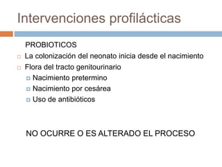 Intervenciones profilácticas
PROBIOTICOS
 La colonización del neonato inicia desde el nacimiento
 Flora del tracto genitourinario
 Nacimiento pretermino
 Nacimiento por cesárea
 Uso de antibióticos
NO OCURRE O ES ALTERADO EL PROCESO
 
