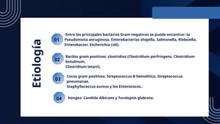 01
02
03
04
Entre las principales bacterias Gram negativas se puede encontrar: la
Pseudomona aeruginosa, Enterobacterías shígella, Salmonella, Klebsiella,
Enterobacter, Escheríchía colí).
Bacilos gram positivas: clostridios (Clostrídíum perfringens, Clostridium
botulinum,
Clostrídíum tetaní).
Cocos gram positivos: Streptococcus B hemolítico, Streptococcus
pneumonae,
Staphyílococcus aureus y los Enterococos..
Hongos: Candida Albicans y Turolopsis glabrata.
Etiología
 