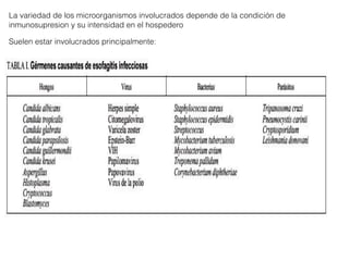 La variedad de los microorganismos involucrados depende de la condición de
inmunosupresion y su intensidad en el hospedero
Suelen estar involucrados principalmente:
 