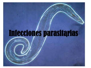 Infecciones parasitarias
 