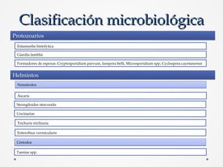 Clasificación microbiológicaClasificación microbiológica
ProtozoariosProtozoarios
Entamoeba histolytica
Giardia lamblia
Fo...