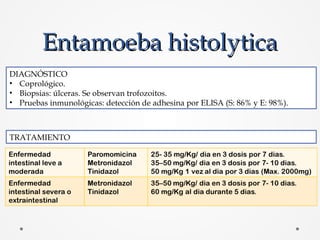 Entamoeba histolyticaEntamoeba histolytica
DIAGNÓSTICO
• Coprológico.
• Biopsias: úlceras. Se observan trofozoitos.
• Prue...