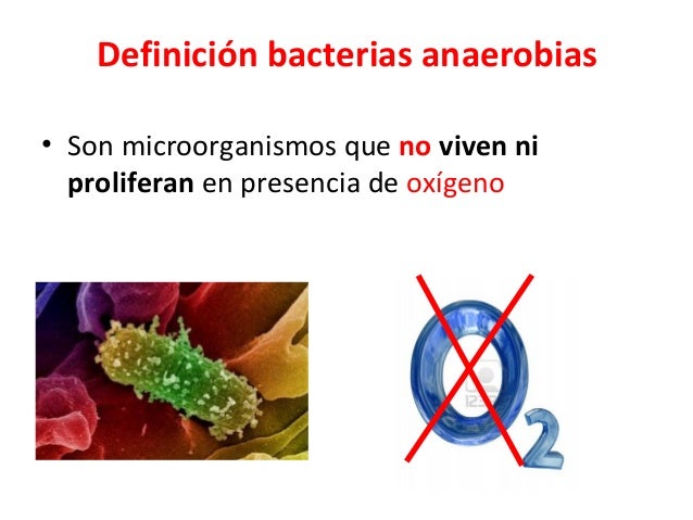 Infecciones por anaerobios