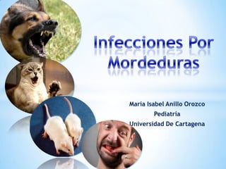 María Isabel Anillo Orozco
        Pediatría
Universidad De Cartagena
 