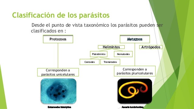 PARASITOLOGIA (parasitos)