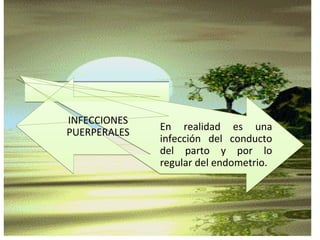 INFECCIONES
PUERPERALES
En realidad es una
infección del conducto
del parto y por lo
regular del endometrio.
 