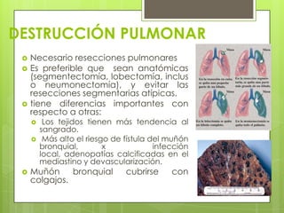 DESTRUCCIÓN PULMONAR
 Necesario resecciones pulmonares
 Es preferible que sean anatómicas
(segmentectomía, lobectomía, inclus
o neumonectomía), y evitar las
resecciones segmentarias atípicas.
 tiene diferencias importantes con
respecto a otras:
 Los tejidos tienen más tendencia al
sangrado.
 Más alto el riesgo de fístula del muñón
bronquial, x infección
local, adenopatías calcificadas en el
mediastino y devascularización.
 Muñón bronquial cubrirse con
colgajos.
 