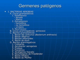 Germenes patógenos 1. BACTERIAS AEROBIAS    A. Cocos grampositivos       1. Estafilococo          - dorado          - blanco       2. Estreptococo          - hemolítico          - no hemolítico          - viridans       3. Neumococo    B. Cocos gramnegativos: gonococo    C. Bacilos grampositivos       1. Bacilo del carbunco (Bacterium anthracis)       2. Bacilo diftérico       3. Bacilos difteroides       4. Bacilo de Koch    D. Bacilos gramnegativos       1. Colibacilo       2. Aerobacter aerogenes       3. Proteus       4. Piociánico       5. Alcaligenes foecalis       6. Neumobacilo de Friedländer       7. Bacilo tifódico       8. Bacilo de Pfeiffer  