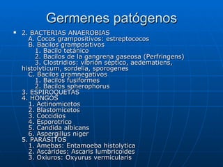 Germenes patógenos 2. BACTERIAS ANAEROBIAS    A. Cocos grampositivos: estreptococos    B. Bacilos grampositivos       1. Bacilo tetánico       2. Bacilos de la gangrena gaseosa (Perfringens)       3. Clostridios: vibrión séptico, aedematiens, histolyticum, sordelia, sporogenes    C. Bacilos gramnegativos       1. Bacilos fusiformes       2. Bacilos spherophorus 3. ESPIROQUETAS 4. HONGOS    1. Actinomicetos    2. Blastomicetos    3. Coccidios    4. Esporotrico    5. Candida albicans    6. Aspergillus niger 5. PARÁSITOS    1. Amebas: Entamoeba histolytica    2. Ascárides: Ascaris lumbricoides    3. Oxiuros: Oxyurus vermicularis  