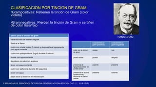 CLASIFICACION POR TINCION DE GRAM
•Grampositivas: Retienen la tinción de Gram (color
violeta)
•Gramnegativas: Pierden la tinción de Gram y se tiñen
de color rosa/rojo
HANS GRAM
caracteristicas
gram positivas
caracteristicas
gram negativas
color con la tincion
de gram
violeta rojo
pared celular gruesa delgada
presencia de
lipopolisacaridos en
pared celular
ausente presente
presencia de acidos
lipoteicoicos y
teicoicos en pared
celular
presente ausente
pasos para la tincion de gram
hacer el frotis de manera regular
fijarlo a la flama
cubrir con cristal violeta 1 minuto y despues lave ligeramente
con agua corriente
cubrir con yodopovidona (lugol) durante 1 minuto
lavara con agua corriente
decolorar con alcohol- acetona
lavar con agua corriente
cubrir con safranina durante 30 segundos
lavar con agua
dejar secar y observar en microscopio
F.BRUNICARLIS, PRINCIPIOS DE CIRUGIA GENERAL NOVENA EDICION CAP 12, 2018 EEUU
 