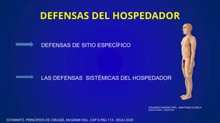DEFENSAS DEL HOSPEDADOR
DEFENSAS DE SITIO ESPECÍFICO
LAS DEFENSAS SISTÉMICAS DEL HOSPEDADOR
EDUARDO ADRIÁN PRÓ , ANATOMIA CLINICA -
BUENOS AIRES - ARGENTINA
SCHWARTZ. PRINCIPIOS DE CIRUGÍA, McGRAW-HILL ,CAP 6 PAG 113 , EEUU 2020
 
