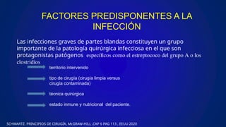 FACTORES PREDISPONENTES A LA
INFECCIÓN
Las infecciones graves de partes blandas constituyen un grupo
importante de la patología quirúrgica infecciosa en el que son
protagonistas patógenos específicos como el estreptococo del grupo A o los
clostridios
territorio intervenido
tipo de cirugía (cirugía limpia versus
cirugía contaminada)
técnica quirúrgica
estado inmune y nutricional del paciente.
SCHWARTZ. PRINCIPIOS DE CIRUGÍA, McGRAW-HILL ,CAP 6 PAG 113 , EEUU 2020
 