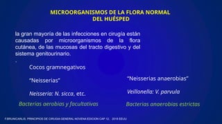 MICROORGANISMOS DE LA FLORA NORMAL
DEL HUÉSPED
F.BRUNICARLIS, PRINCIPIOS DE CIRUGIA GENERAL NOVENA EDICION CAP 12, 2018 EEUU
la gran mayoría de las infecciones en cirugía están
causadas por microorganismos de la flora
cutánea, de las mucosas del tracto digestivo y del
sistema genitourinario.
.
Cocos gramnegativos
“Neisserias”
Neisseria: N. sicca, etc.
“Neisserias anaerobias”
Veillonella: V. parvula
Bacterias aerobias y facultativas Bacterias anaerobias estrictas
 