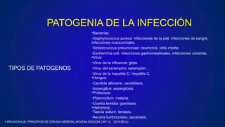 PATOGENIA DE LA INFECCIÓN
TIPOS DE PATOGENOS
•Bacterias:
◦Staphylococcus aureus: infecciones de la piel, infecciones de sangre,
infecciones nosocomiales.
◦Streptococcus pneumoniae: neumonía, otitis media.
◦Escherichia coli: infecciones gastrointestinales, infecciones urinarias.
•Virus:
◦Virus de la influenza: gripe.
◦Virus del sarampión: sarampión.
◦Virus de la hepatitis C: hepatitis C.
•Hongos:
◦Candida albicans: candidiasis.
◦Aspergillus: aspergilosis.
•Protozoos:
◦Plasmodium: malaria.
◦Giardia lamblia: giardiasis.
•Helmintos:
◦Taenia solium: teniasis.
◦Ascaris lumbricoides: ascariasis.
F.BRUNICARLIS, PRINCIPIOS DE CIRUGIA GENERAL NOVENA EDICION CAP 12, 2018 EEUU
 