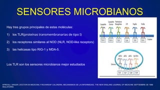 SENSORES MICROBIANOS
Hay tres grupos principales de estas moléculas:
1) los TLR(proteínas transmembranarias de tipo I)
2) los receptores similares al NOD (NLR, NOD-like receptors)
3) las helicasas tipo RIG-1 y MDA-5.
Los TLR son los sensores microbianos mejor estudiados
APRESAJ. SINGER, DOCTOR EN MEDICINA,Y RICHARDAF CALONDRA, MECANISMOS DE LA ENFERMEDAD, THE NEW ENGLAND JOURNAL OF MEDICINE SEPTIEMBRE DE 1999
INGLATERRA
 