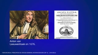 Anton van
Leeuwenhoek en 1676.
F.BRUNICARLIS, PRINCIPIOS DE CIRUGIA GENERAL NOVENA EDICION CAP 12, 2018 EEUU
 