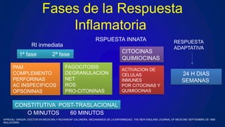 Fases de la Respuesta
Inflamatoria
RI inmediata
1ª fase 2ª fase
PAM
COMPLEMENTO
PERFORINAS
AC INSPECIFICOS
OPSONINAS
FAGOCITOSIS
DEGRANULACION
NET
ROS
PRO-CITONINAS
CONSTITUTIVA POST-TRASLACIONAL
O MINUTOS 60 MINUTOS
CITOCINAS
QUIMIOCINAS
ACTIVACION DE
CELULAS
INMUNES
POR CITOCINAS Y
QUIMIOCINAS
RSPUESTA INNATA RESPUESTA
ADAPTATIVA
24 H DIAS
SEMANAS
APRESAJ. SINGER, DOCTOR EN MEDICINA,Y RICHARDAF CALONDRA, MECANISMOS DE LA ENFERMEDAD, THE NEW ENGLAND JOURNAL OF MEDICINE SEPTIEMBRE DE 1999
INGLATERRA
 