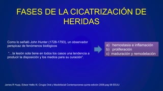 FASES DE LA CICATRIZACIÓN DE
HERIDAS
Como lo señaló John Hunter (1728-1793), un observador
perspicaz de fenómenos biológicos
“…la lesión sola tiene en todos los casos una tendencia a
producir la disposición y los medios para su curación”.
a) hemostasia e inflamación
b) proliferación
c) maduración y remodelación
James.R Hupp, Edwar Hellis III, Cirugia Oral y Maxilofacial Contemporanea quinta edición 2009,pag 58 EEUU
 