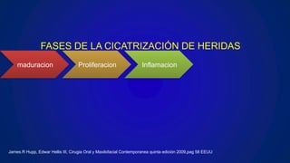 maduracion Proliferacion Inflamacion
FASES DE LA CICATRIZACIÓN DE HERIDAS
James.R Hupp, Edwar Hellis III, Cirugia Oral y Maxilofacial Contemporanea quinta edición 2009,pag 58 EEUU
 