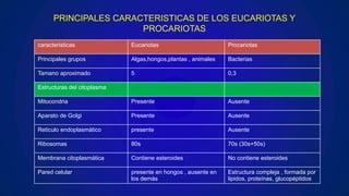 PRINCIPALES CARACTERISTICAS DE LOS EUCARIOTAS Y
PROCARIOTAS
caracteristicas Eucariotas Procariotas
Principales grupos Algas,hongos,plantas , animales Bacterias
Tamano aproximado 5 0,3
Estructuras del citoplasma
Mitocondria Presente Ausente
Aparato de Golgi Presente Ausente
Reticulo endoplasmático presente Ausente
Ribosomas 80s 70s (30s+50s)
Membrana citoplasmática Contiene esteroides No contiene esteroides
Pared celular presente en hongos , ausente en
los demás
Estructura compleja , formada por
lipidos, proteínas, glucopéptidos
 