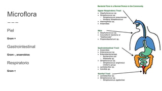 Microflora
Piel
Gram +
Gastrointestinal
Gram -, anaerobios
Respiratorio
Gram +
 