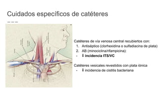 Cuidados específicos de catéteres
Catéteres de vía venosa central recubiertos con:
1. Antiséptico (clorhexidina o sulfadiacina de plata)
2. AB (minociclina/rifampicina):
- ⬇︎ incidencia ITS/VC
Catéteres vesicales revestidos con plata iónica
- ⬇︎ incidencia de cistitis bacteriana
 