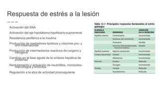 Respuesta de estrés a la lesión
Activación del SNA
Activación del eje hipotálamo-hipofisiario-suprarrenal
Resistencia periférica a la insulina
Producción de mediadores lipídicos y citocinas pro- y
anti-inflamatorias
Producción de intermediarios reactivos de oxígeno y
nitrógeno
Cambios en la fase aguda de la síntesis hepática de
proteínas
Reclutamiento y activación de neutrófilos, monocitos-
macrófagos y linfocitos
Regulación a la alza de actividad procoagulante
 