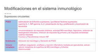 Modificaciones en el sistema inmunológico
Supresores circulantes:
PGE2 estimulación de linfocitos supresores, que liberan factores supresores
suprime IL-1, INF-gamma, IL-2, presentación de Ag y proliferación y locomoción de
leucocitos
INF inmunomodulación de respuesta citotóxica, actividad MO-macrófago, fagocitosis, inhibición de
blastogénesis linfocitaria, inhibición de respuesta Ag primaria y de respuesta sensibilidad
cutánea retardada
S aureus y Pseudomonas inducen INF
Endotoxina Activación de macrófagos y liberación de PGE2
Inmuno
complejos
modifican coagulación, anafilaxia y reacción inflamatoria mediada por granulocitos, activan-
saturan receptores de superficie de MO-macrófagos y linfocitos
Autoinmunidad
 
